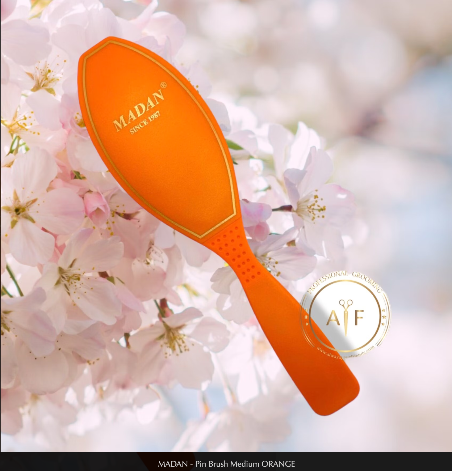 Brosse Madan Orange